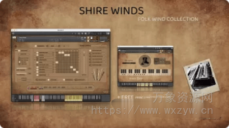 [民间木管乐器音源]Insanity Samples Shire Winds v1.5.0 [KONTAKT]（2.19Gb）