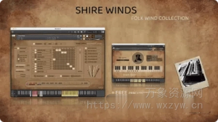 [民间木管乐器音源]Insanity Samples Shire Winds v1.5.0 [KONTAKT]（2.19Gb）