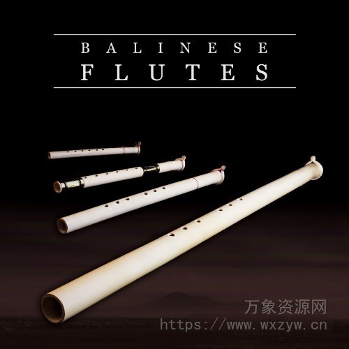 [巴厘岛长笛音源]Soniccouture Balinese Flutes v1.0.1 [KONTAKT]（295MB）