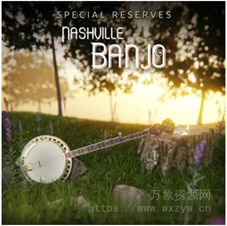 [纳什维尔班卓琴音源]Impact Soundworks Special Reserves Nashville Banjo [KONTAKT]（1.83Gb）