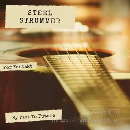 [原声吉他音源]PastToFutureReverbs Steel Strummer For Kontakt! [KONTAKT]（314.30MB）