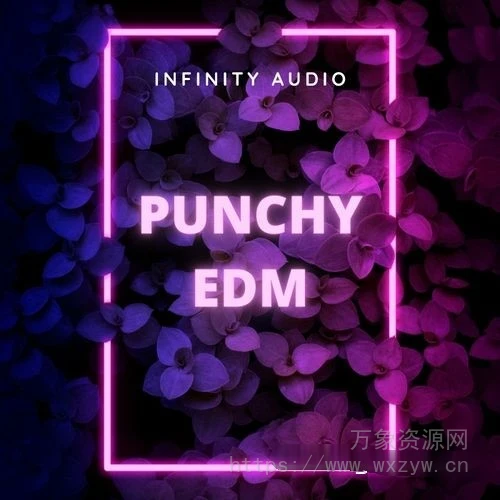 [EDM和House高级合集]Infinity Audio Punchy EDM [WAV, MiDi]（168.55MB）