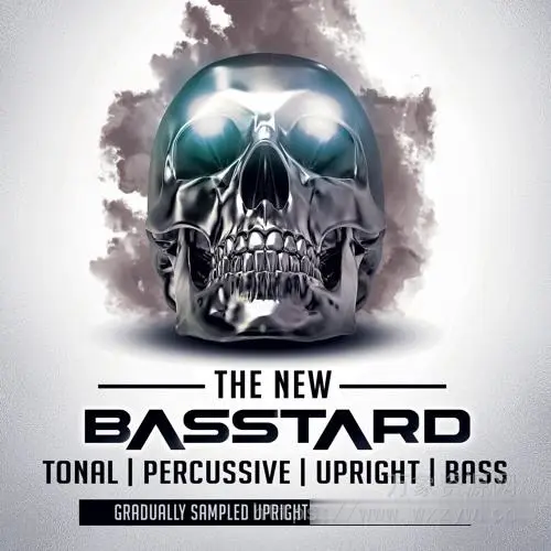 [管弦乐低音音源]8Dio Basstard [KONTAKT]（903Mb）