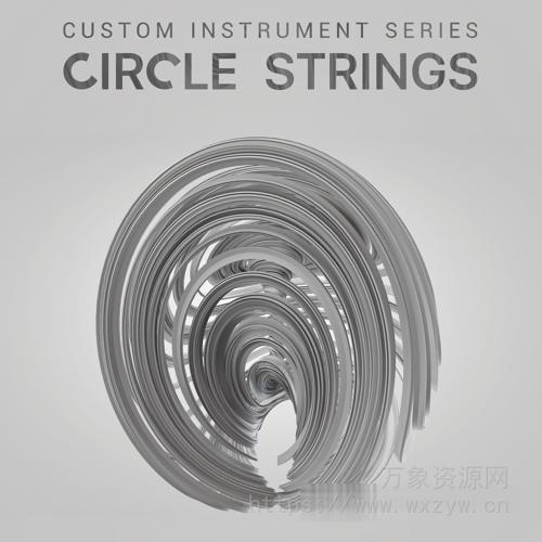 [圆形琴弦定制乐器音源]8Dio Circle Strings [KONTAKT]（3.96Gb）