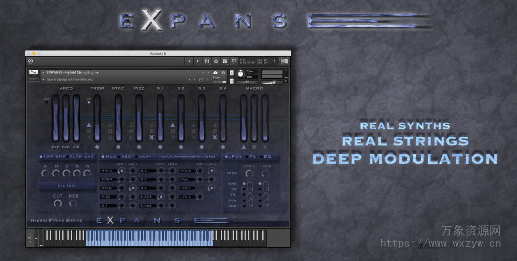 [混合弦乐引擎纹理音源]Insanity Samples EXPANSE [KONTAKT]（1.47GB）