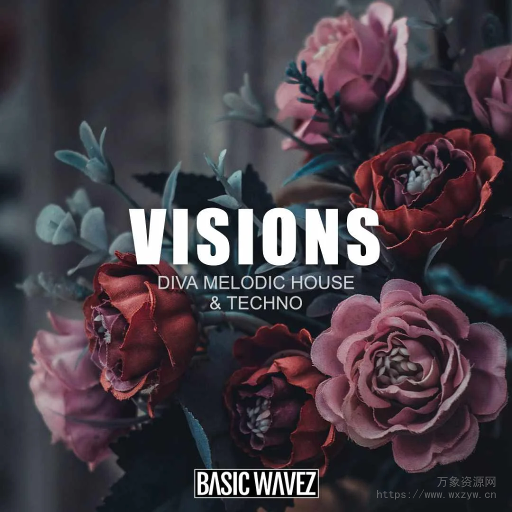 [3套完美Diva浩室泰克诺舞曲预设包]Baisc Wavez Visions Vol.1-2-3-Melodic House & Techno Presets for u-he Diva（460KB+319KB+550KB）