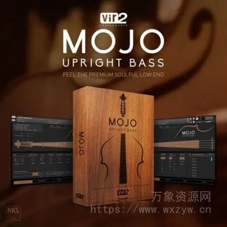 [最逼真的低音提琴音源]Vir2 Instruments MOJO: Upright Bass v1.0.1 [KONTAKT]（17.18GB）
