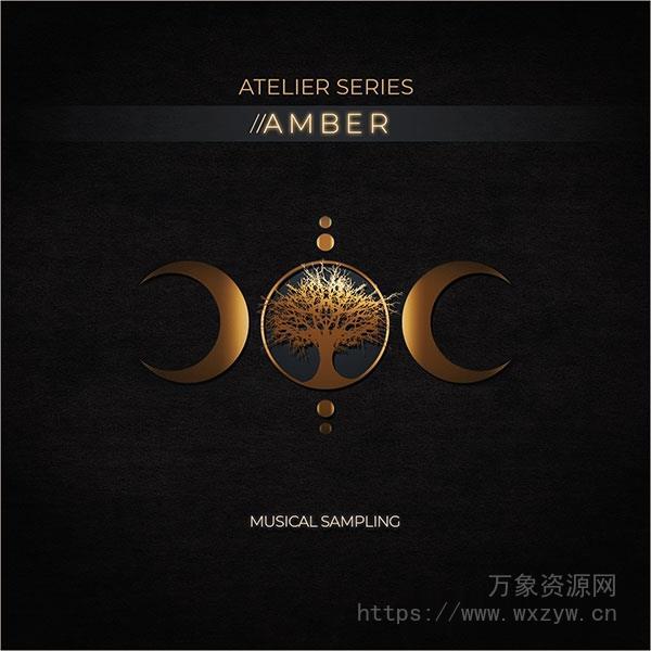 [三重连奏女声音源]Musical Sampling Atelier Series Amber [KONTAKT]（1.27GB）