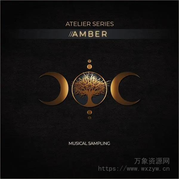 [三重连奏女声音源]Musical Sampling Atelier Series Amber [KONTAKT]（1.27GB）