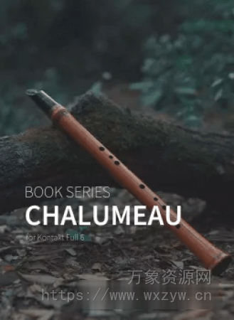 [单簧木管乐器音源]XPERIMENTA Audio Book Series Chalumeau v1.1 [KONTAKT]（1.18GB）