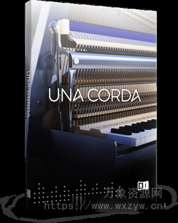 [独特立式钢琴]Native Instruments Una Corda [KONTAKT]（9.88GB）