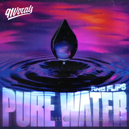 [RnB采样]91Vocals Pure Water – RnB Flips [WAV]（1.07Gb）