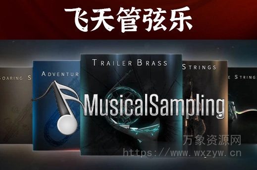 [9套飞天管弦乐音源合集] Musical Sampling Soaring Strings Brass [KONTAKT]（34GB）