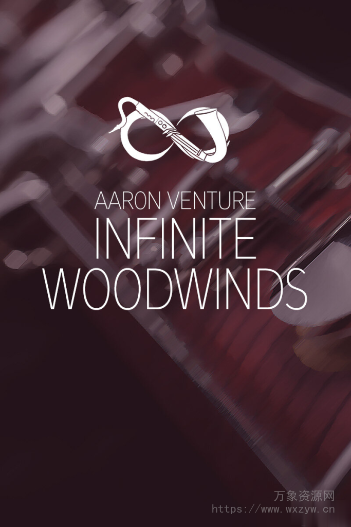 [管弦乐木管音源]Aaron Venture Infinite Woodwinds v2.0 [KONTAKT]（8.92GB）