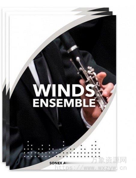[木管乐器合奏音源]Sonex Audio Woodwinds Ensemble [KONTAKT]（6.32GB）