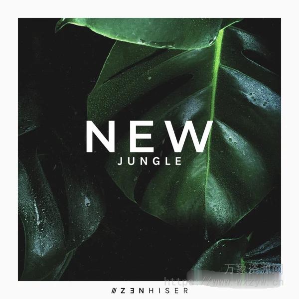 [鼓打贝斯采样]Zenhiser New Jungle [WAV]（2.95Gb）