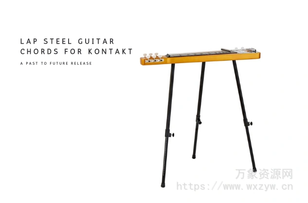 [独特钢吉他和弦音源]PastToFutureReverbs Lap Steel Guitar Chords [KONTAKT]（805.34Mb）