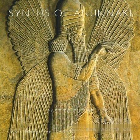 [影视氛围电子合成音源]PastToFutureReverbs Synths Of Anunnaki For Kontakt! [KONTAKT]（751Mb）