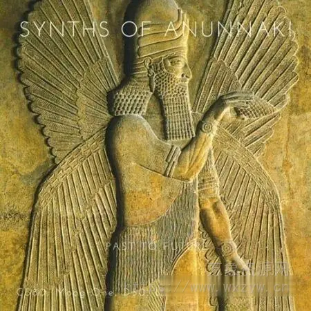 [影视氛围电子合成音源]PastToFutureReverbs Synths Of Anunnaki For Kontakt! [KONTAKT]（751Mb）
