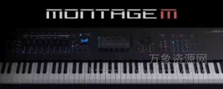 [合成器插件]Yamaha Montage M ESP VST [WiN]（7.08Gb）