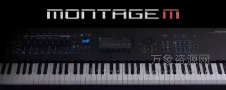 [合成器插件]Yamaha Montage M ESP VST [WiN]（7.08Gb）
