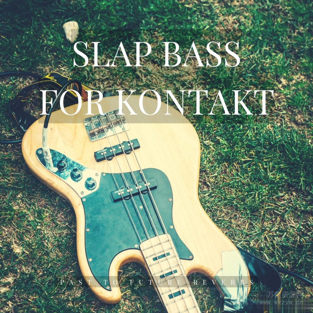 [击弦贝斯音源]PastToFutureReverbs Slap Bass [KONTAKT]（346.50MB）