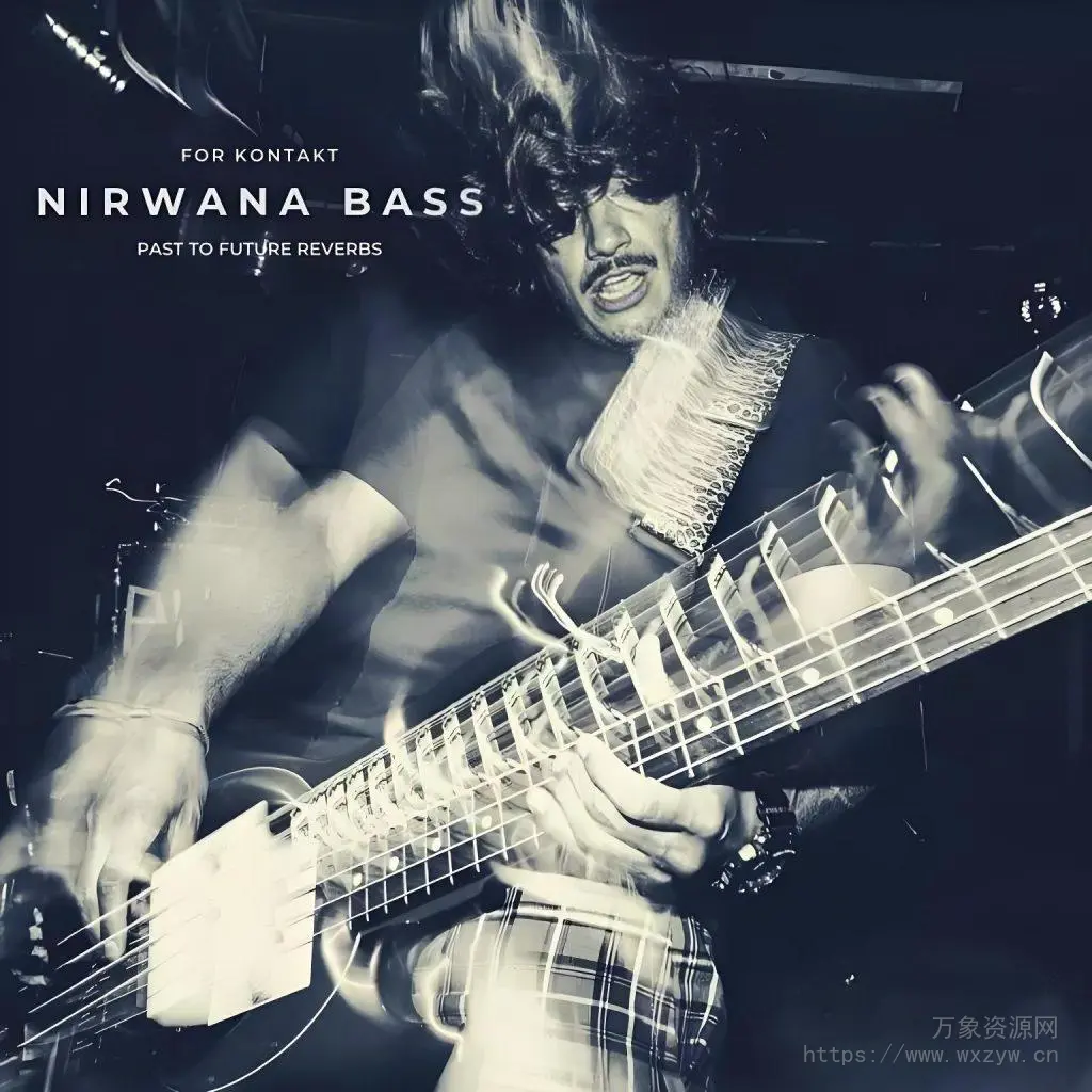 [贝斯音源]PastToFutureReverbs Nirwana Bass [KONTAKT]（266.23MB）