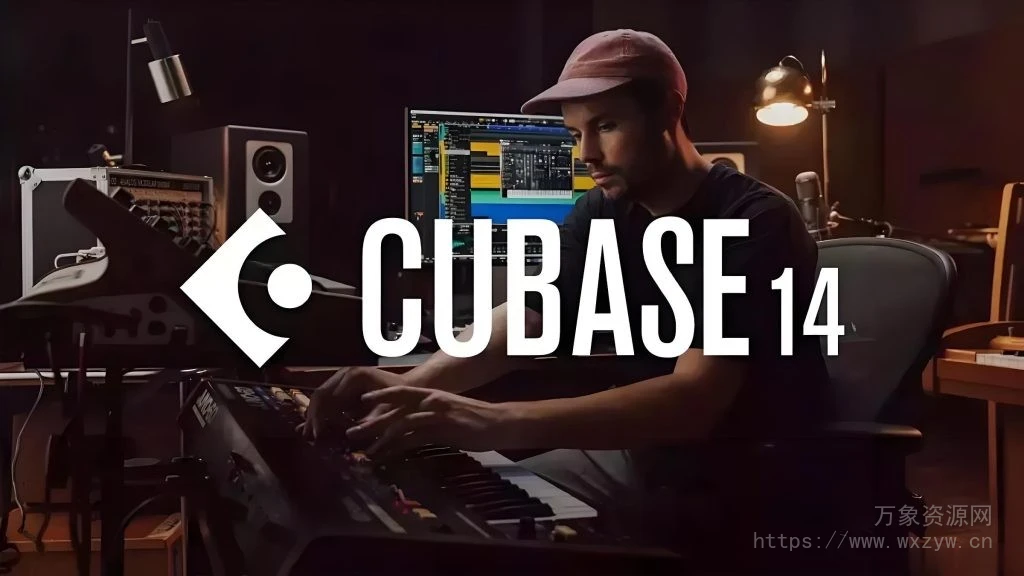 [宿主软件]Steinberg Cubase Pro 14 v14.0.5 VR/R2R/U2B+原厂音源+安装方法 [WiN, MacOSX]（80GB+）