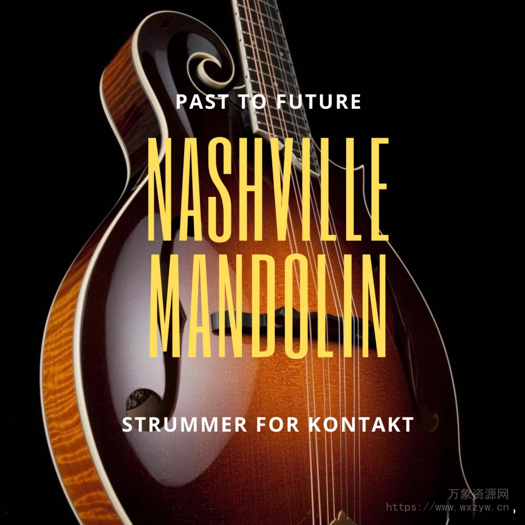 [纳什维尔曼陀林音源]PastToFutureReverbs Nashville Mandolin Strummer [KONTAKT]（494.97MB）