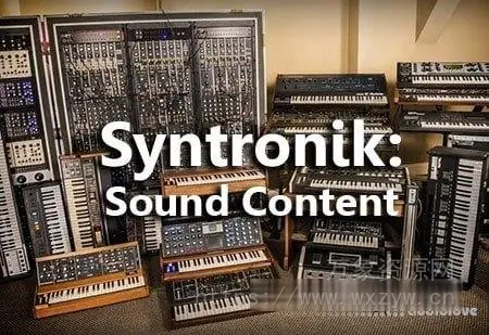 [Syntronik音色库1代]IK Multimedia Syntronik: Sound Content（28Gb）