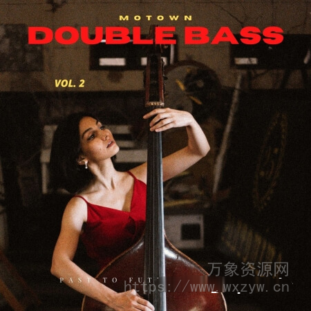 [原声贝斯音源]PastToFutureReverbs Motown Double Bass Vol.2! [KONTAKT]（245.26MB）