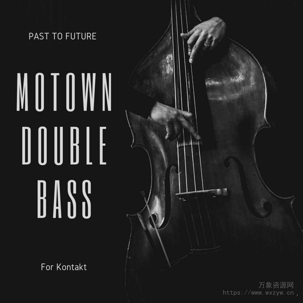 [低音提琴音源]PastToFutureReverbs Motown Double Bass [KONTAKT]（41.93MB）