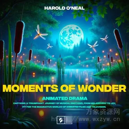 [影视动画乐采样]Montage by Splice Moments of Wonder Animated Drama [WAV]（532.09Mb）