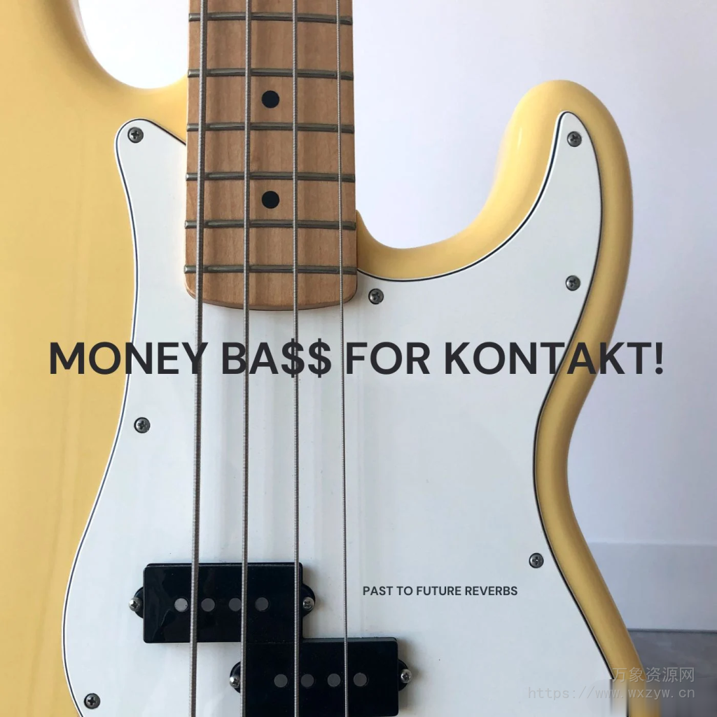 [贝斯即兴重复乐句音源]PastToFutureReverbs Money Bass [KONTAKT]（92Mb）