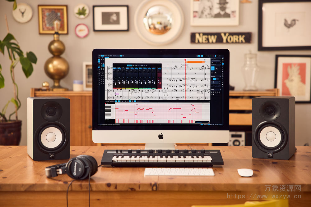 [打谱工具]Steinberg Dorico Pro 5 v5.1.60-R2R [WiN]（366.1Mb）