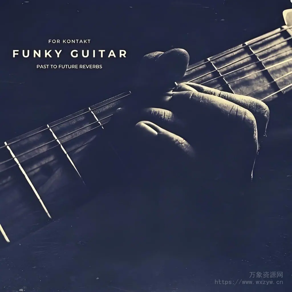 [Funky吉他音源]PastToFutureReverbs Funky Guitar [KONTAKT]（109.44MB）