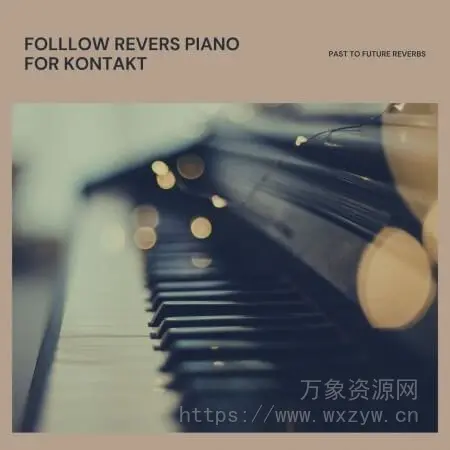[经典钢琴音源]PastToFutureReverbs Follow Rivers Piano For Kontakt! [KONTAKT]（102.60Mb）