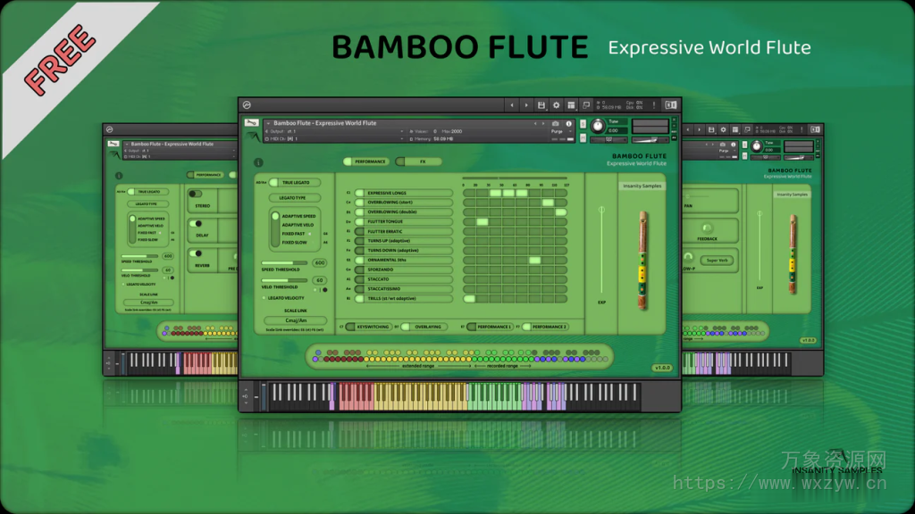 [竹笛独奏长笛音源]Insanity Samples Bamboo Flute (Expressive World Flute) [KONTAKT]（318MB）