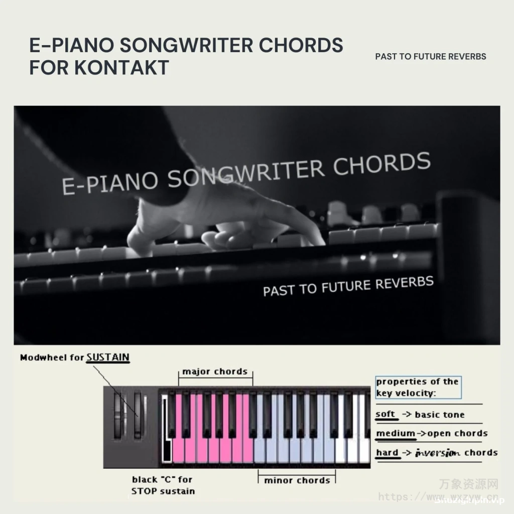 [和弦库]PastToFutureReverbs E-piano Songwriter Chords [KONTAKT]（403.30MB）