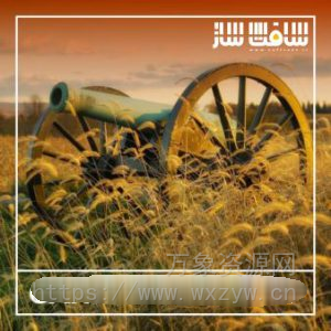 [大炮音效FX采样]Blastwave FX Cannons [WAV]（16Mb）