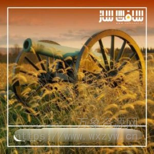 [大炮音效FX采样]Blastwave FX Cannons [WAV]（16Mb）