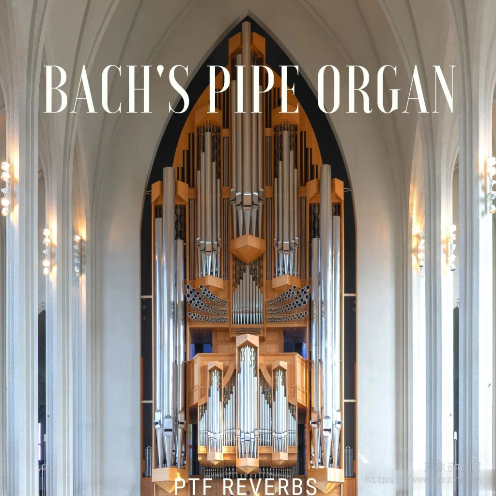 [管风琴音源]PastToFutureReverbs Bach’s Pipe Organ [KONTAKT]（84.06MB）