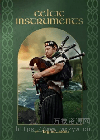 [凯尔特乐器音源]Big Fish Audio Celtic Instruments [KONTAKT]（1.19GB）