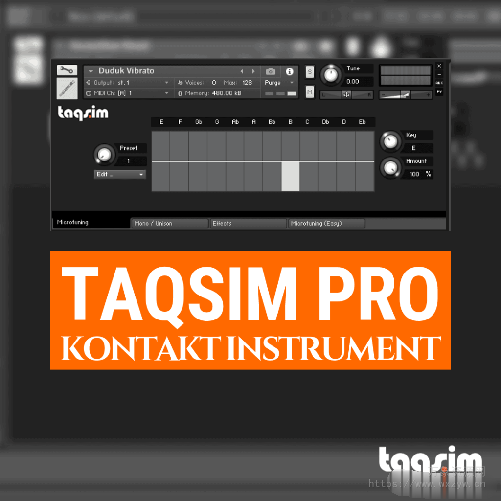 [阿拉伯中东新疆乐器音源]TAQS.IM Kontakt Pro Library [KONTAKT]（1.92Gb）