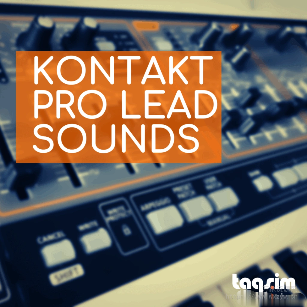 [中东民乐综合音色库]TAQS.IM Kontakt Pro Lead Sounds [KONTAKT]（1.36Gb）
