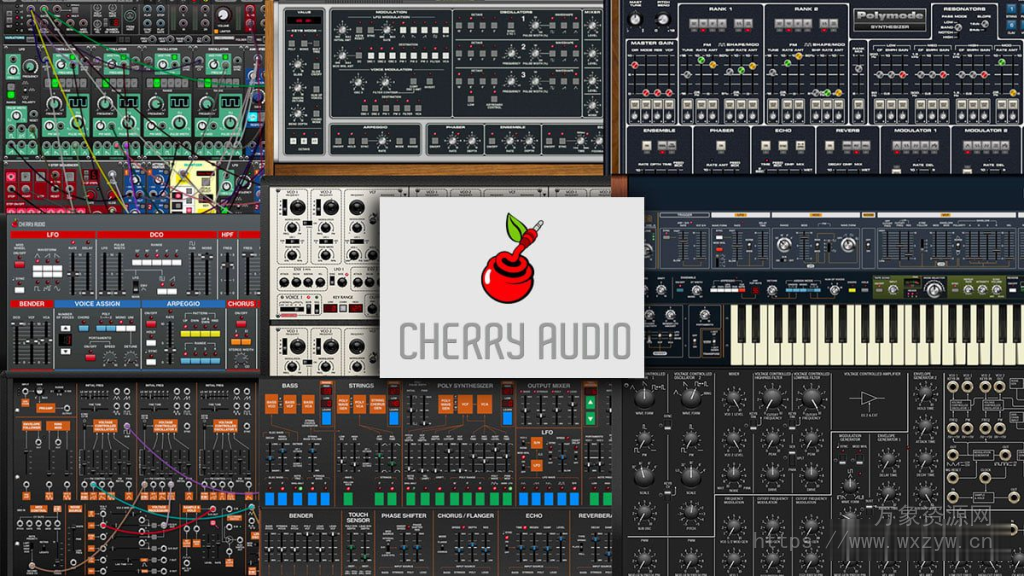 [樱桃音频插件合集]Cherry Audio Plugins 2024-09 [WiN]（772MB）