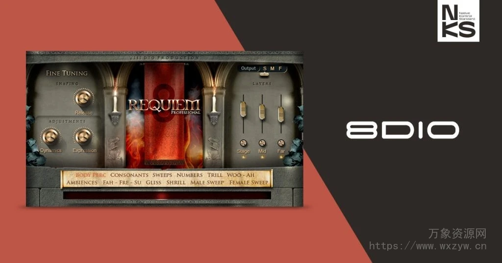 [史诗大教堂合唱团音源]8Dio Requiem Professional NKS [KONTAKT]（13.16GB）