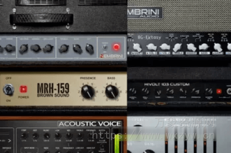 [吉他贝斯放大器套件]Nembrini Audio Amplifier Bundle v2024.9 U2B [MacOSX]（2.11GB）