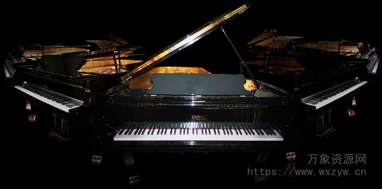 [音乐会三角钢琴音源简化版]Imperfect Samples Fazioli Ebony Concert Grand Extreme Edition KONTAKT (Repack) （71.17GB）