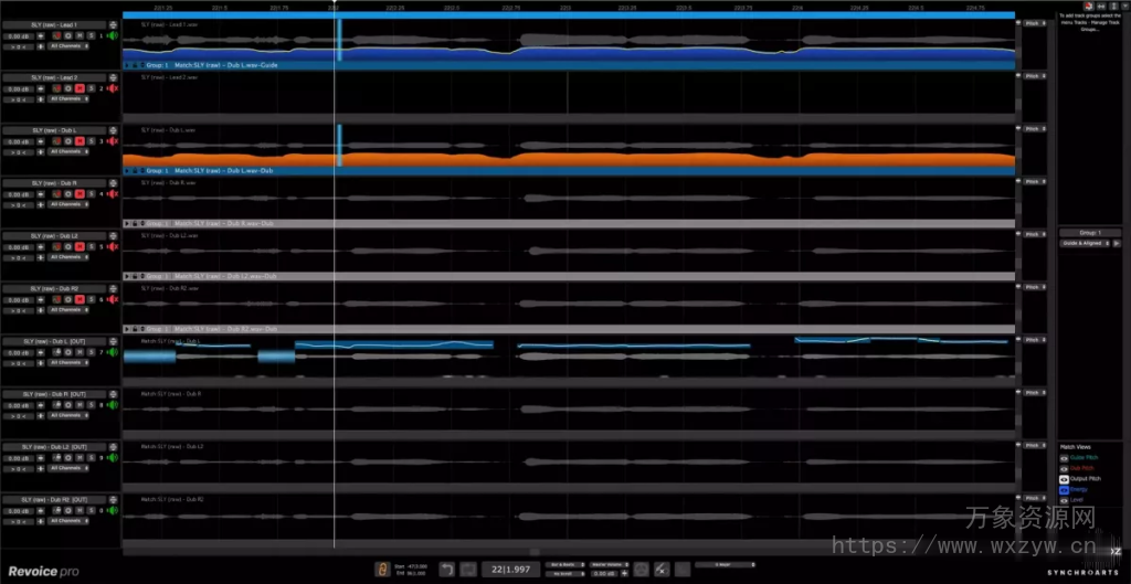 [无与伦比的人声自动对齐音高校正工具] Synchro Arts ReVoice Pro v5.1.19-R2R/v1.0.0 Build 68 [WiN, MacOSX]（39.3MB+13.94MB）